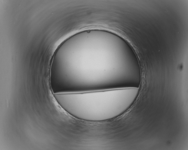 X0000112151534200908070951