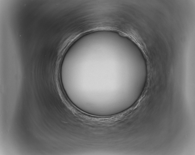 X0000112150001200908071125