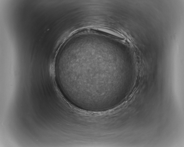 X0000112150002200908071125