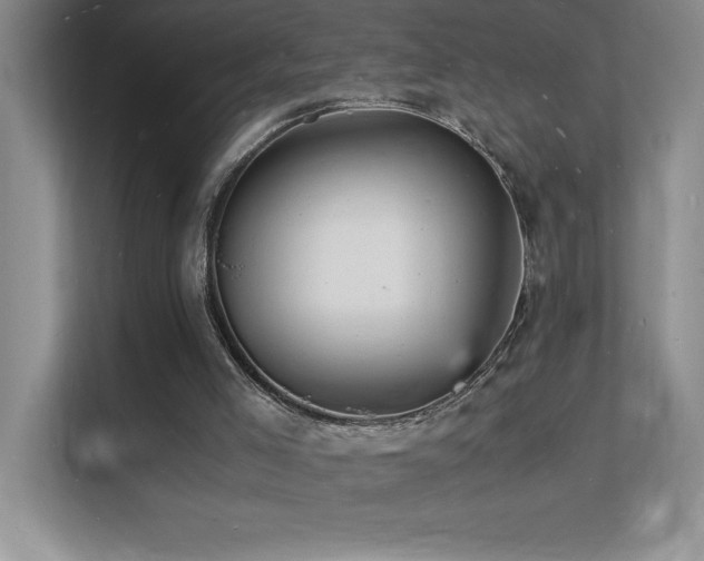 X0000112150005200908071125