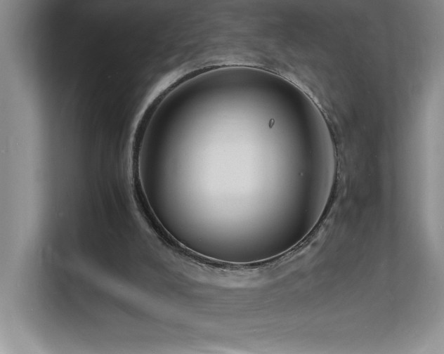X0000112150008200908071125