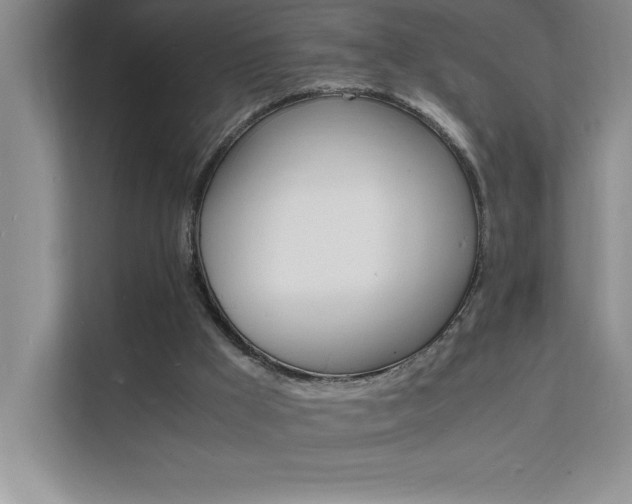 X0000112150009200908071125