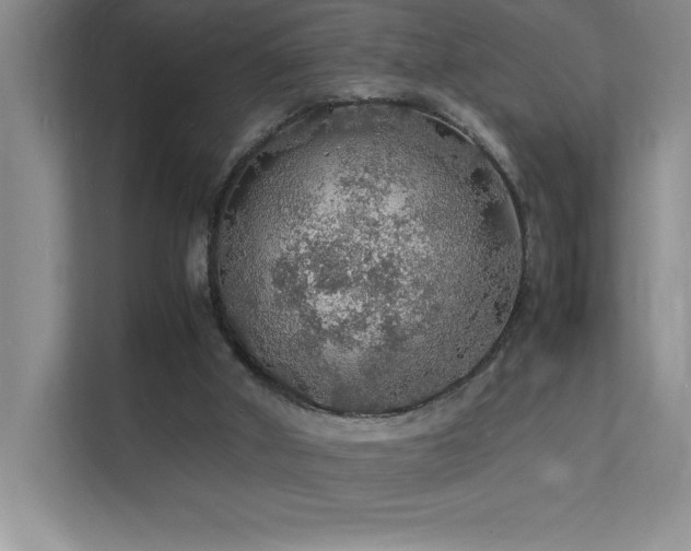 X0000112150010200908071125