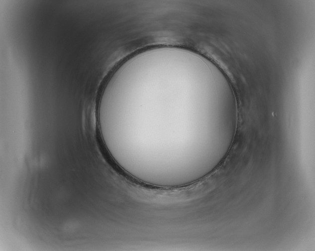X0000112150011200908071125