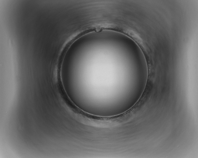 X0000112150012200908071125