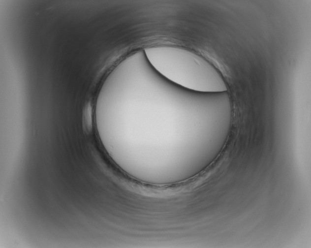 X0000112150014200908071125