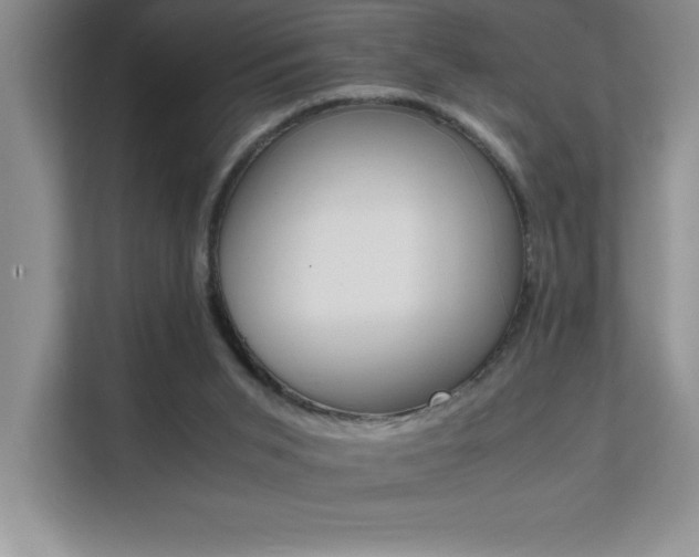 X0000112150015200908071125