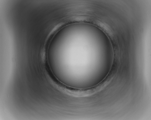 X0000112150016200908071125