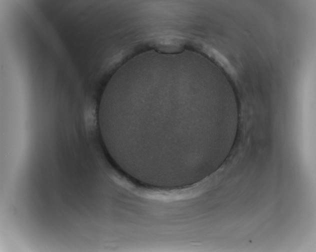 X0000112150017200908071125