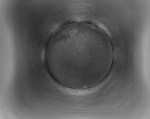 X0000112150018200908071125