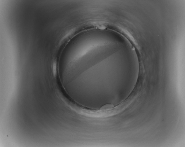 X0000112150019200908071125