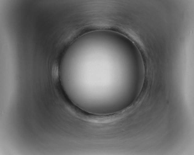 X0000112150021200908071125