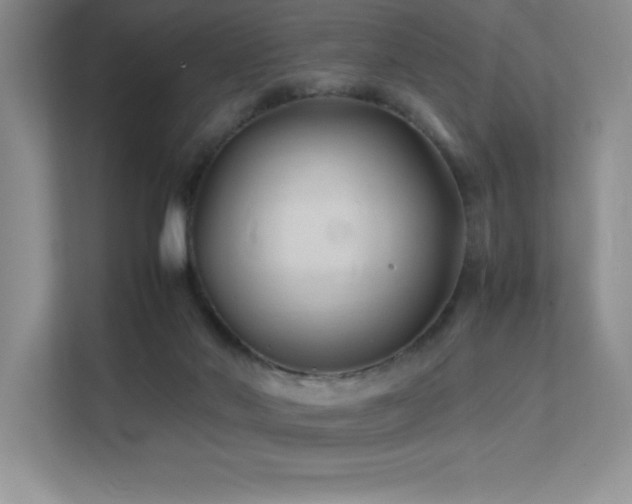 X0000112150022200908071125