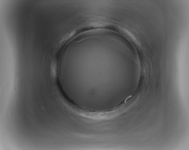 X0000112150023200908071125