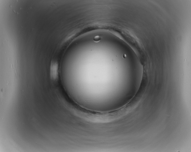 X0000112150024200908071125