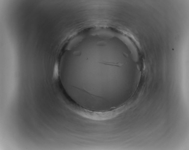 X0000112150027200908071125