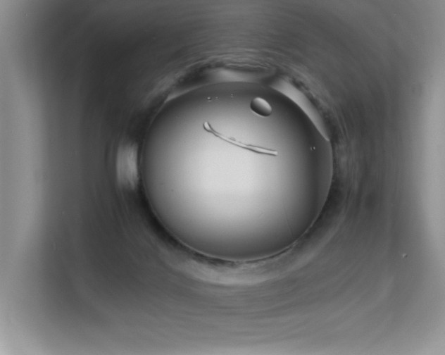X0000112150028200908071125