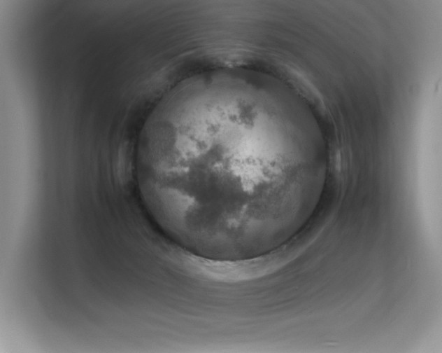 X0000112150030200908071125