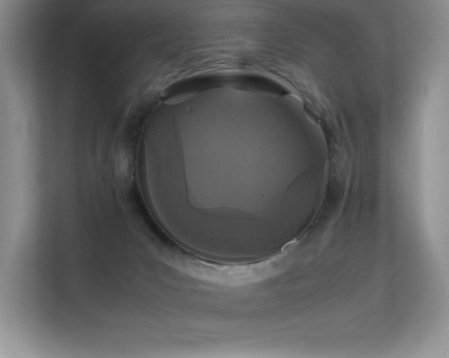 X0000112150031200908071125