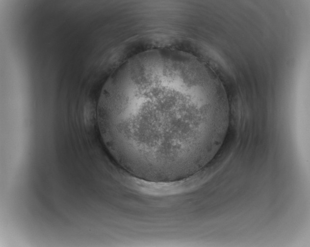 X0000112150034200908071125