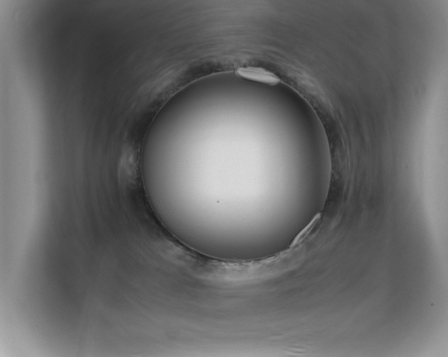 X0000112150037200908071125
