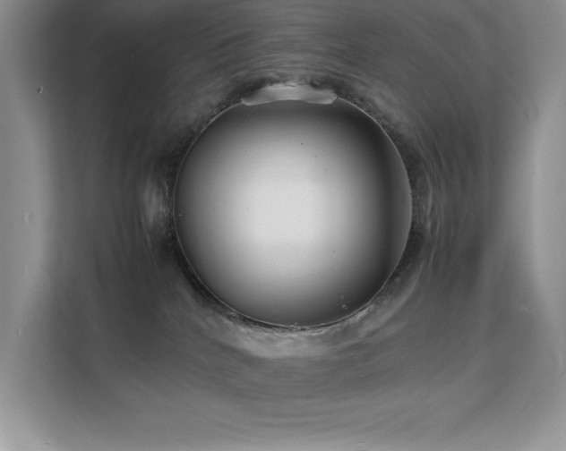 X0000112150040200908071125