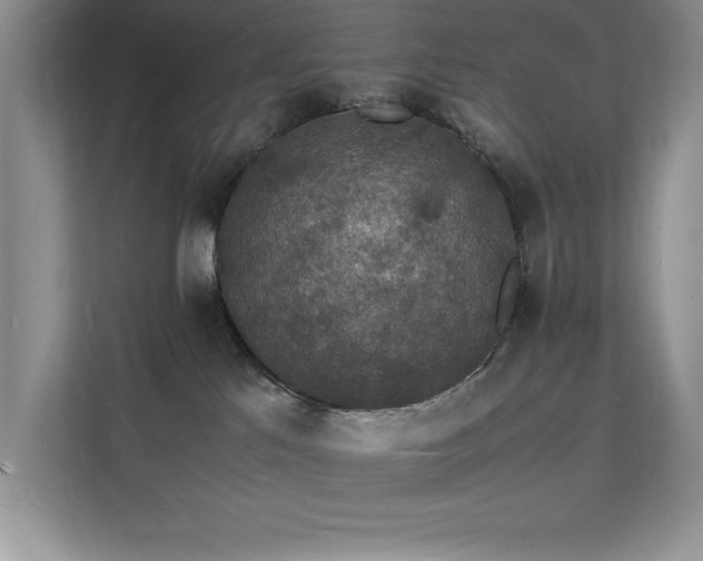 X0000112150041200908071125