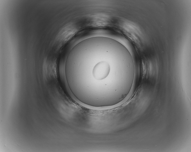 X0000112150045200908071125