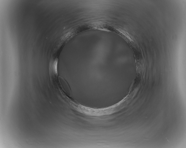 X0000112150047200908071125