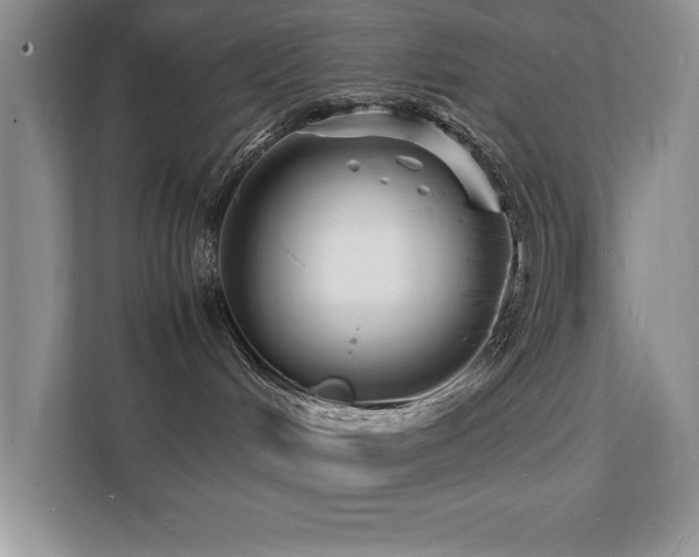 X0000112150048200908071124