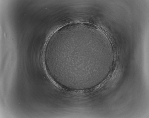 X0000112150049200908071124