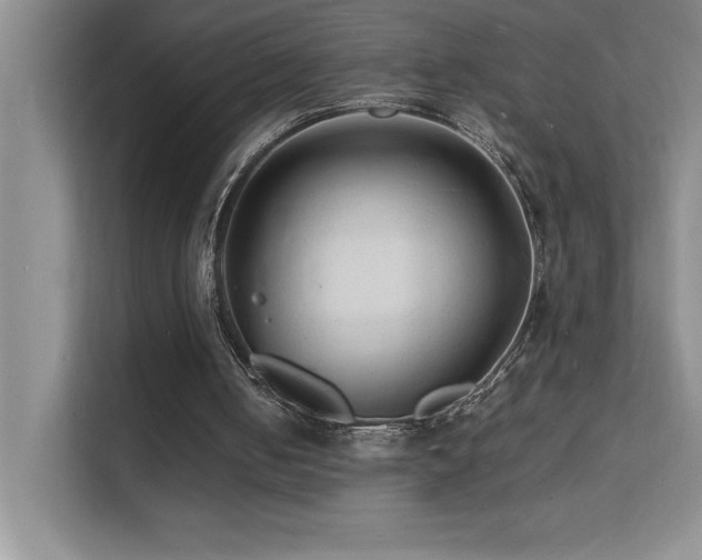 X0000112150050200908071124