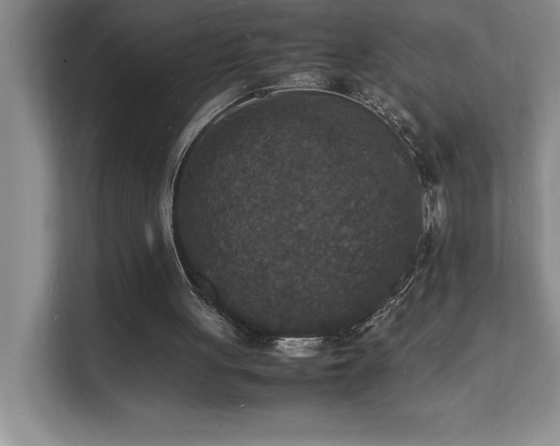 X0000112150051200908071124