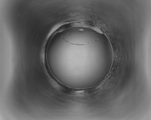 X0000112150054200908071124