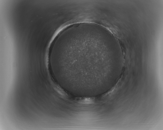 X0000112150056200908071124
