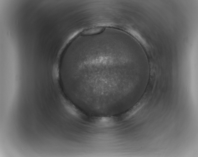 X0000112150060200908071124