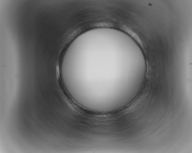 X0000112150061200908071124