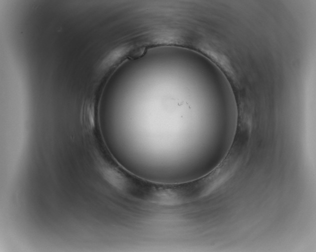 X0000112150062200908071124