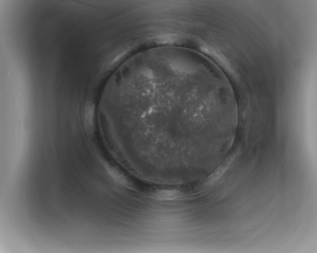 X0000112150066200908071124