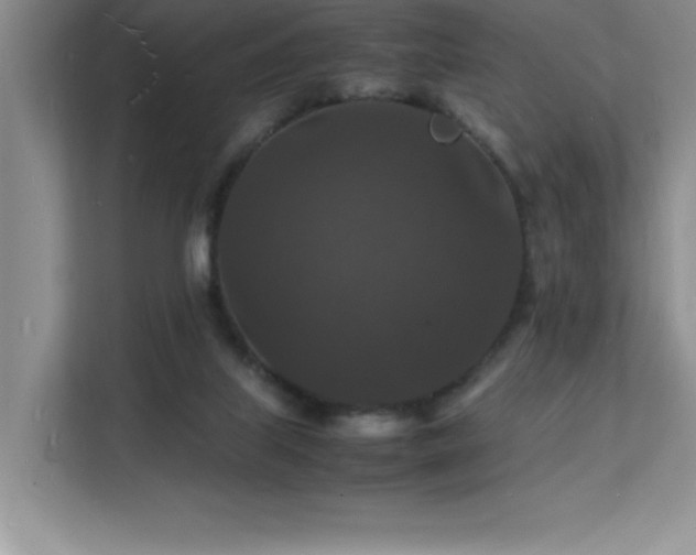 X0000112150067200908071124