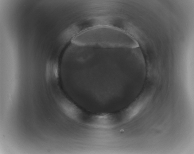 X0000112150068200908071124