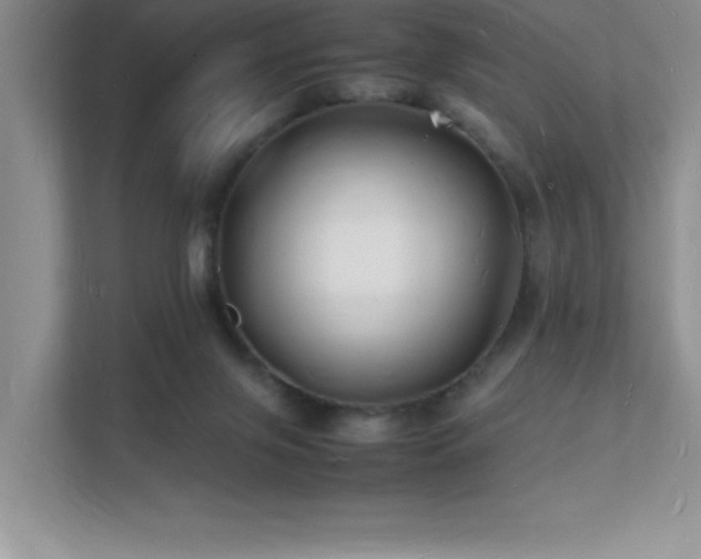 X0000112150071200908071124