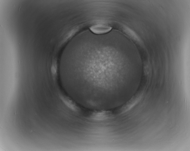 X0000112150072200908071124