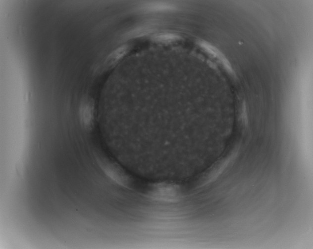X0000112150073200908071124