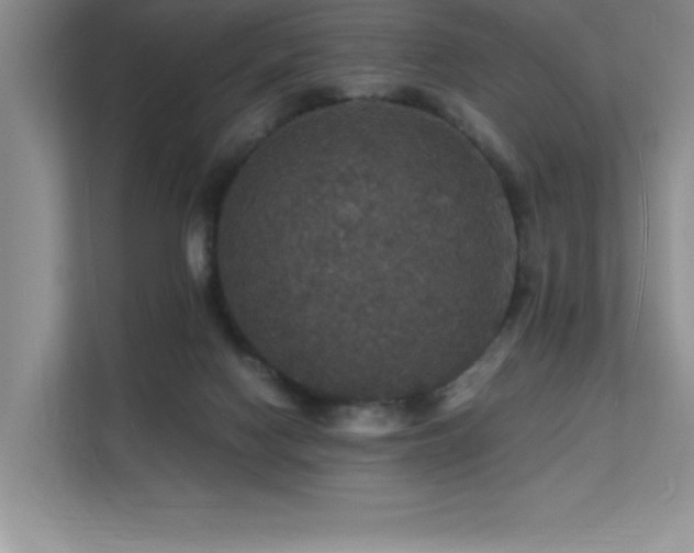 X0000112150074200908071124