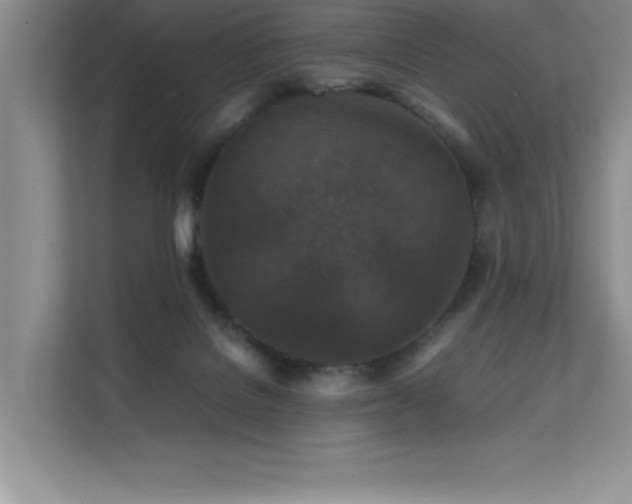 X0000112150076200908071124