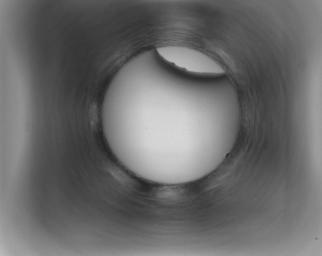 X0000112150077200908071124