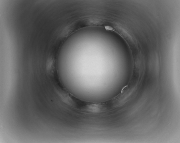 X0000112150079200908071124