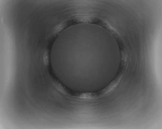 X0000112150080200908071124