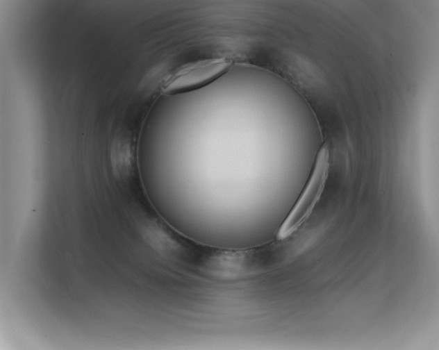 X0000112150084200908071124